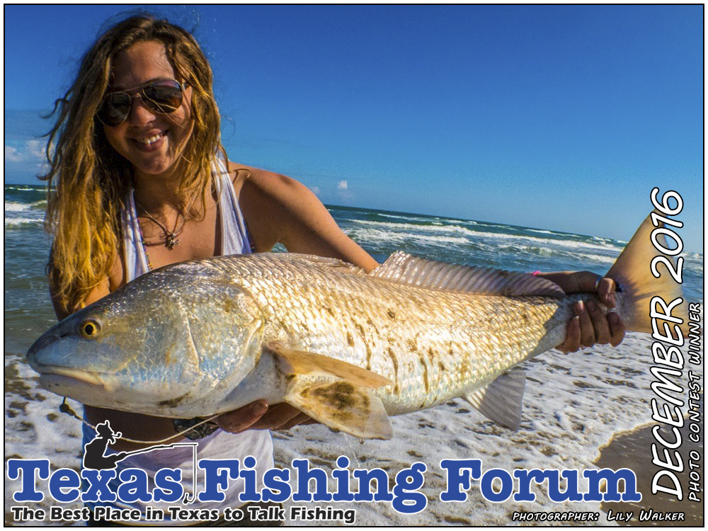 December 2016 Texas Fishing Forum Cover Photo
Photographer: Lily Walker