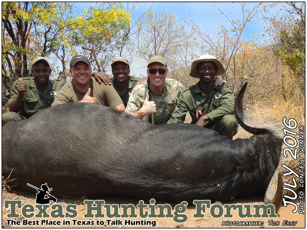 July 2016 Texas Hunting Forum Photo Contest Winner