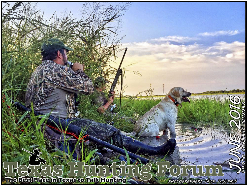 June 2016 Texas Hunting Forum Photo Contest Winner