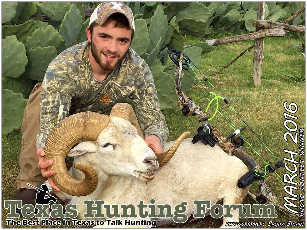 March 2016 Texas Hunting Forum Photo Contest Winner