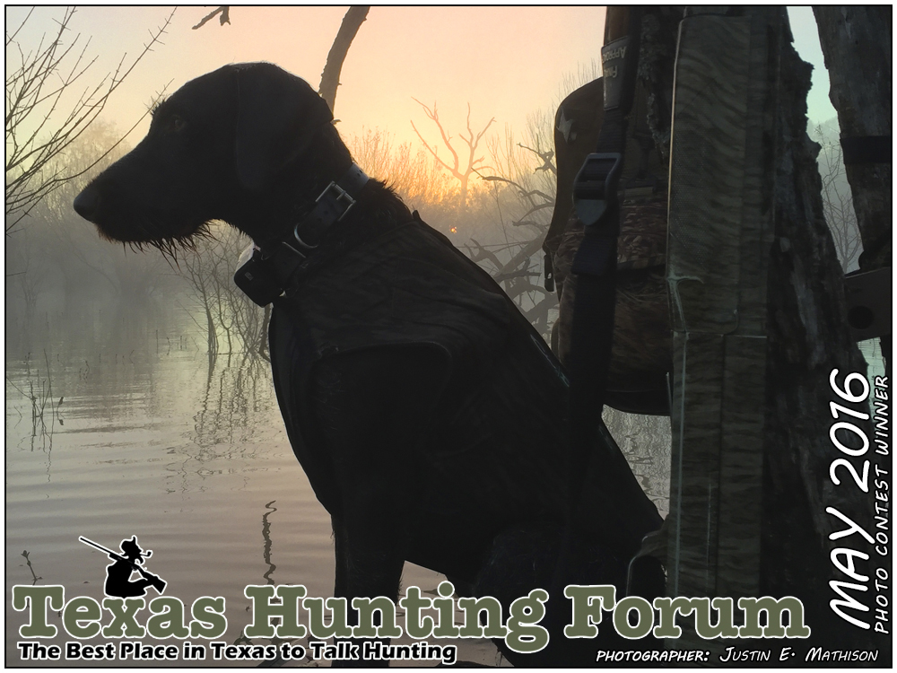 May 2016 Texas Hunting Forum Photo Contest Winner