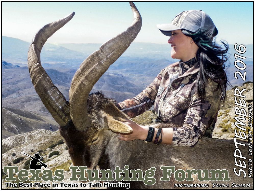 September 2016 Texas Hunting Forum Photo Contest Winner