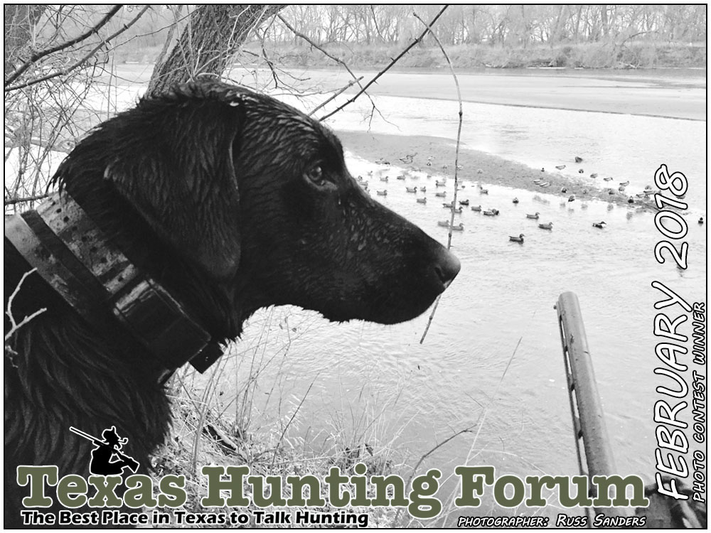 Febuary 2018 Texas Hunting Forum Photo Contest Winner: Russ Sanders