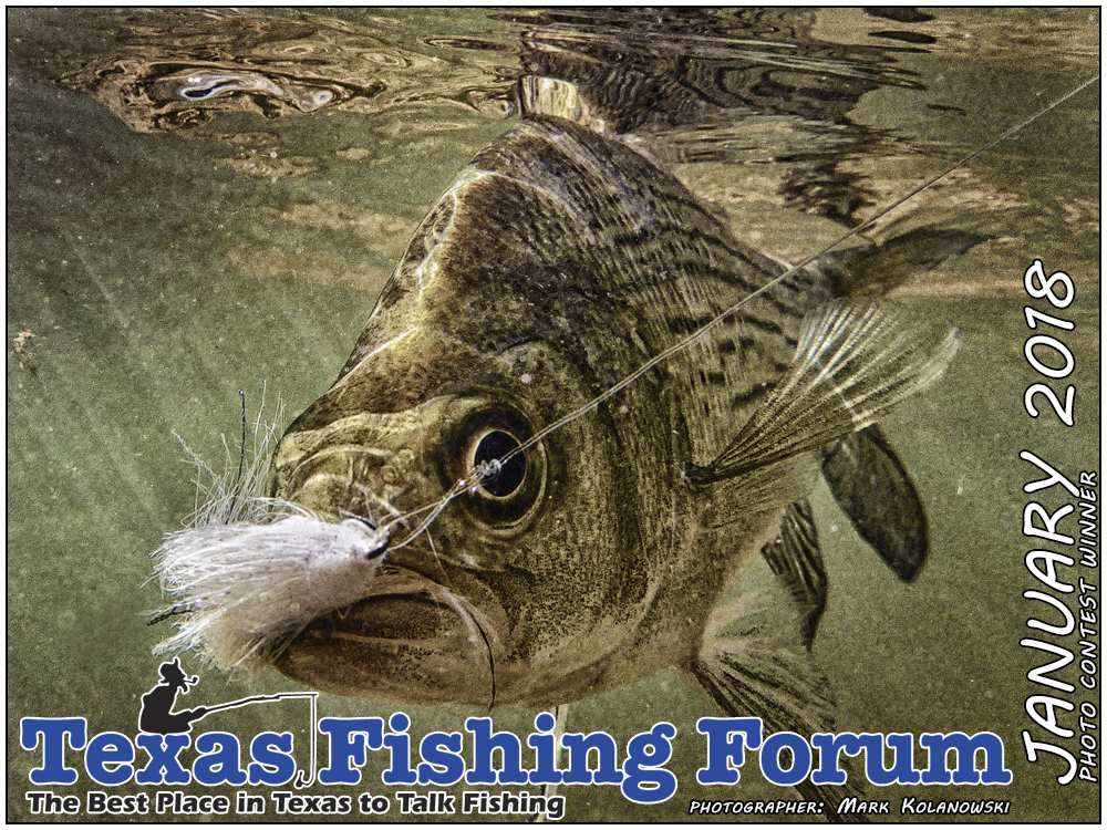January 2018  Texas Fishing Forum Cover Photo Winner, Photographer: Mark Kolanowski