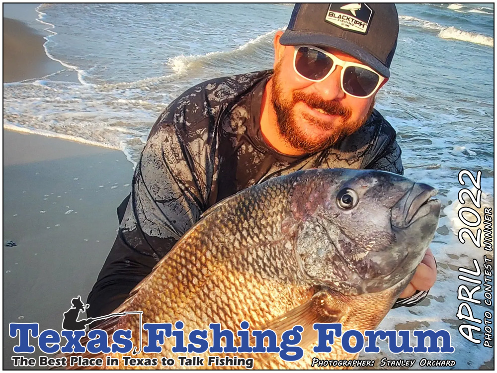  TFF Cover Photo Contest Winner