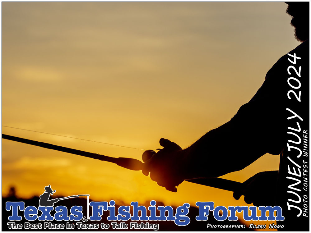  TFF Cover Photo Contest Winner