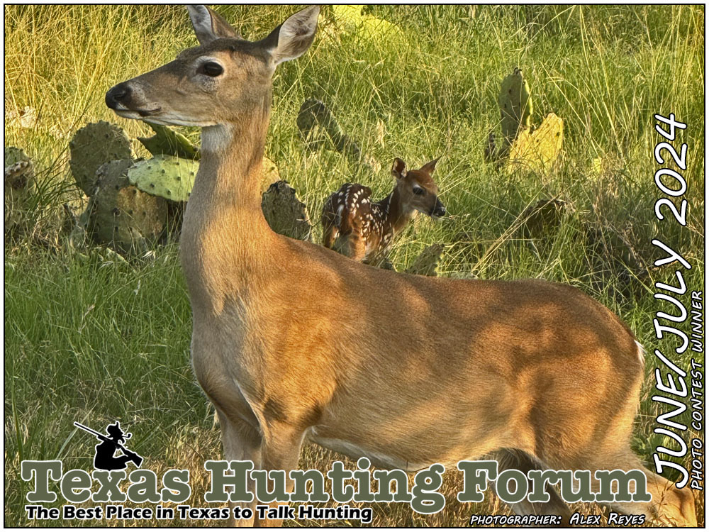  THF Cover Photo Contest Winner